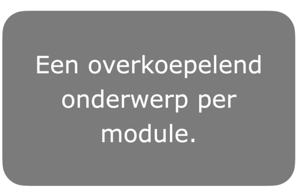 Inrichting curriculum: onderwijseenheden en modules