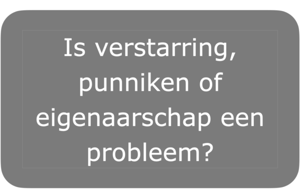 Inrichting curriculum: onderhoud curriculum
