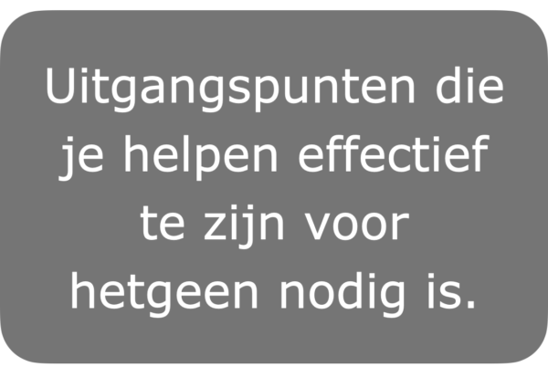 Werken vanuit uitgangspunten, introductie.