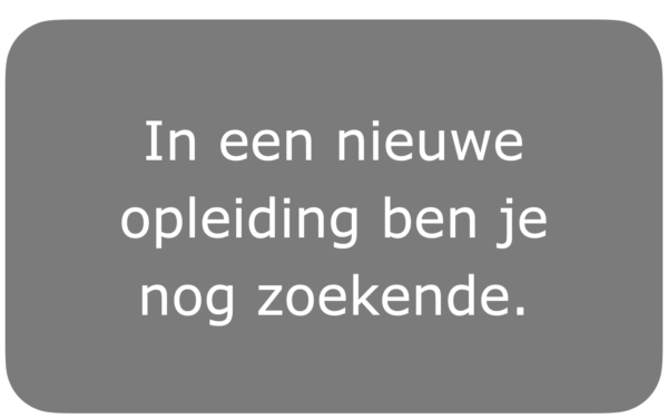 Inrichting curriculum: de inhoudelijke lijn