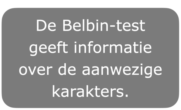 Projectonderwijs: issues